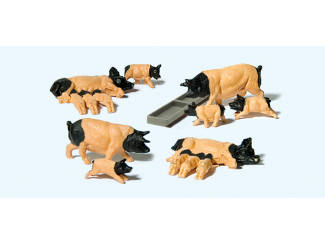 Preiser H0 10149 Zwabische Hall-varkens - Modeltreinshop